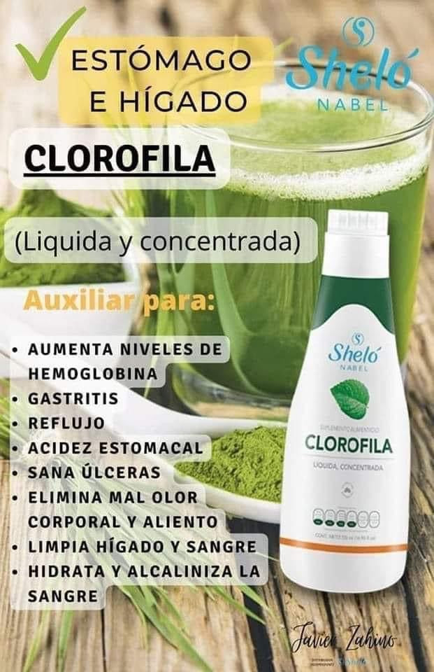 clorofila liquida concentrada